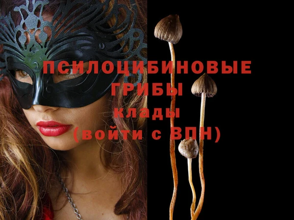 бошки Баксан