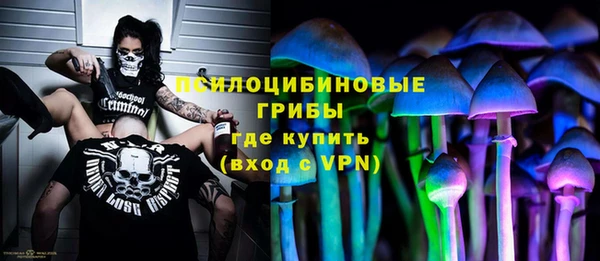 стаф Балахна