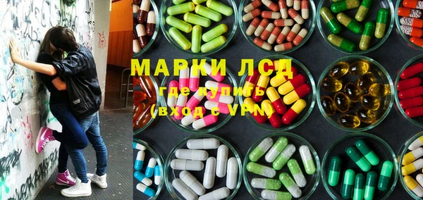 стаф Балахна
