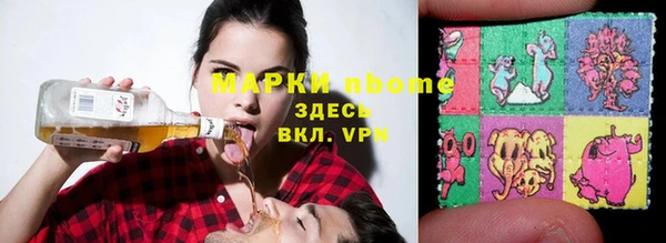 стаф Балахна